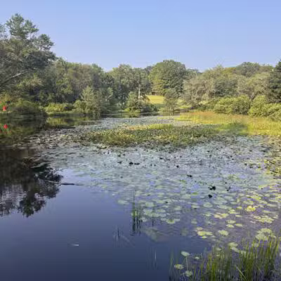 Southford Falls State Park - Southbury, CT