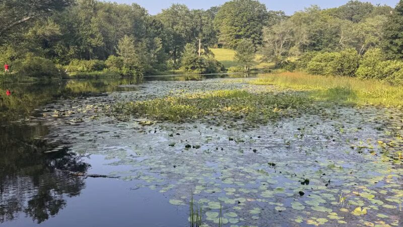 Southford Falls State Park - Southbury, CT