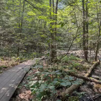 Southford Falls State Park - Southbury, CT
