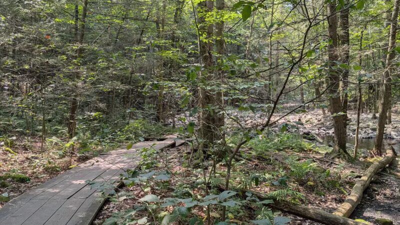 Southford Falls State Park - Southbury, CT