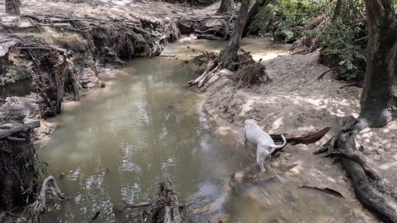 Martin Dog Park - Southern Pines, NC