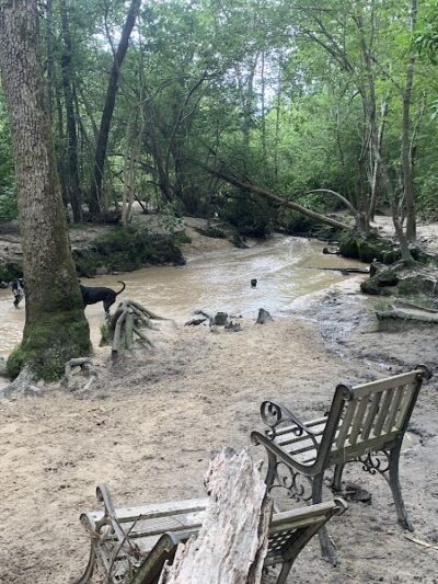 Martin Dog Park - Southern Pines, NC