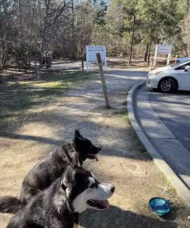 Martin Dog Park - Southern Pines, NC