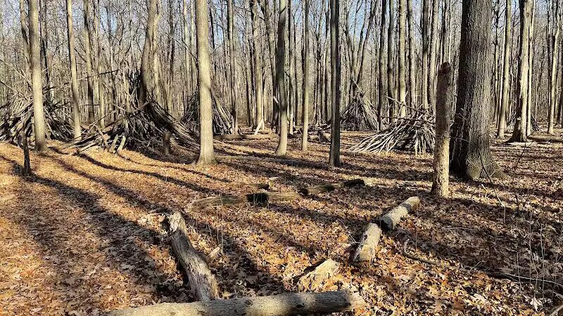 Bauervic Woods Park - Southfield,