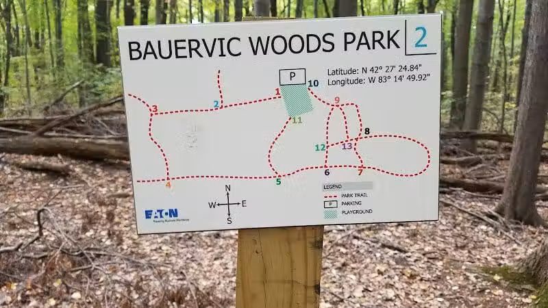 Bauervic Woods Park - Southfield,