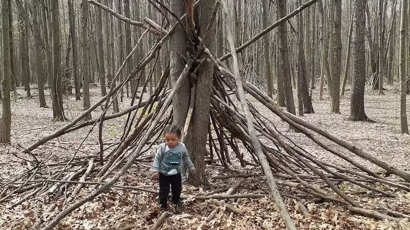 Bauervic Woods Park - Southfield,