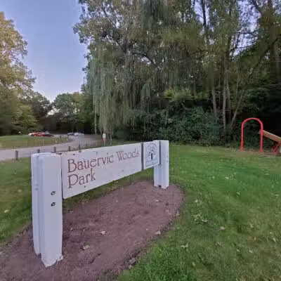 Bauervic Woods Park - Southfield,