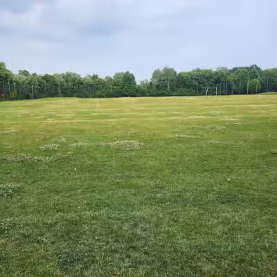 Beech Woods Park - Southfield,