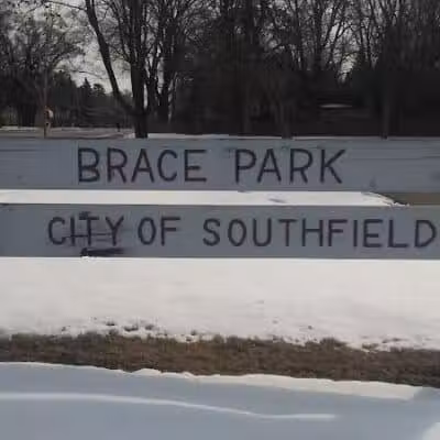 Brace Park - Southfield,