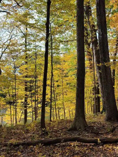 Carpenter Lake Nature Preserve - Southfield,