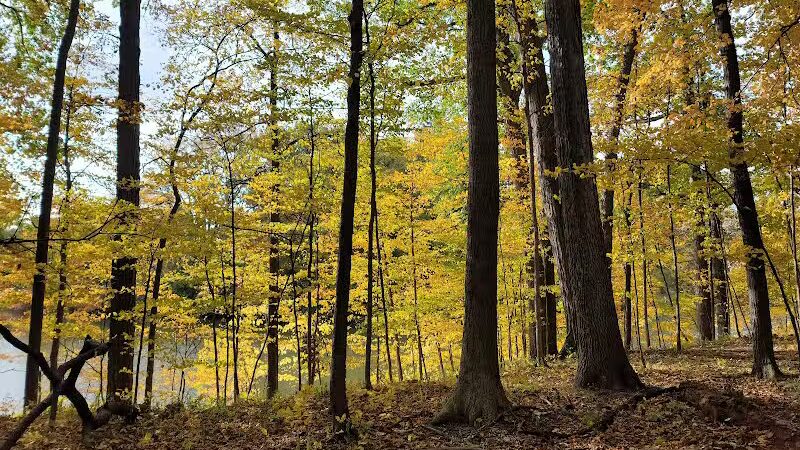 Carpenter Lake Nature Preserve - Southfield,