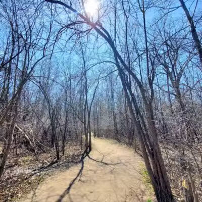 Carpenter Lake Nature Preserve - Southfield,