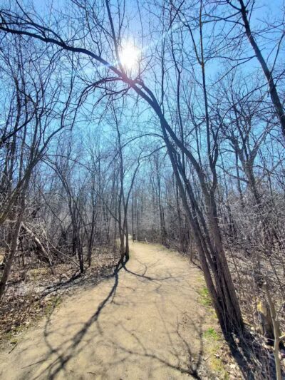 Carpenter Lake Nature Preserve - Southfield,