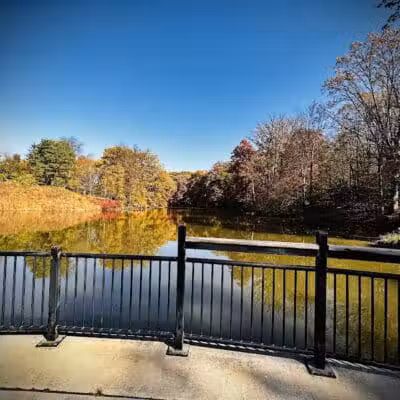 Carpenter Lake Nature Preserve - Southfield,