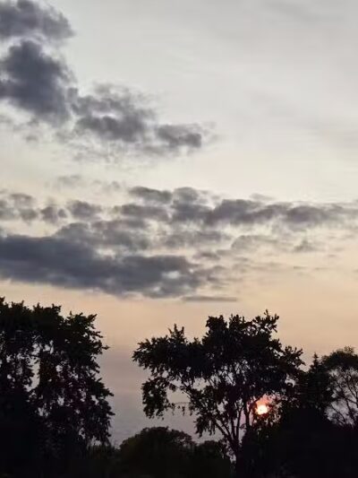 Catalpa Oaks County Park - Southfield,