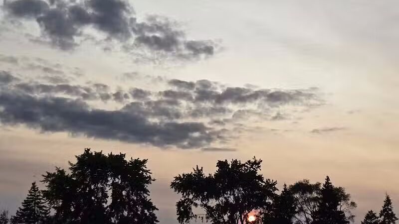 Catalpa Oaks County Park - Southfield,