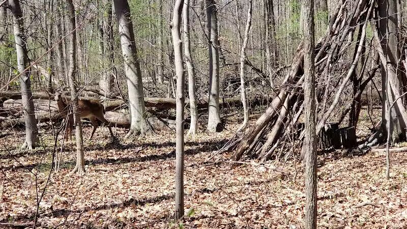 Civic Center Park Pavilion #1 - Southfield,
