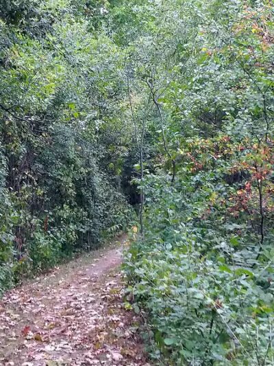 Freeway Park - Southfield,