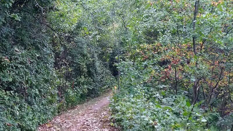 Freeway Park - Southfield,