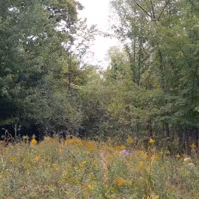 Freeway Park - Southfield,