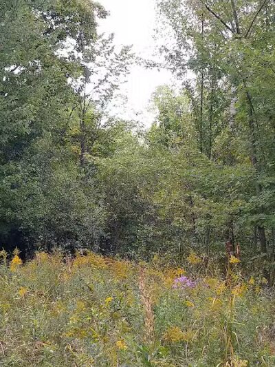 Freeway Park - Southfield,