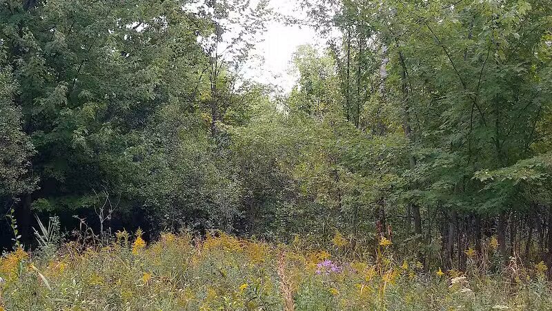 Freeway Park - Southfield,