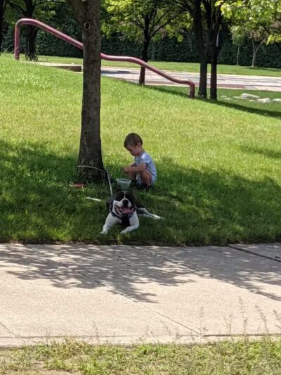 Freeway Park - Southfield,