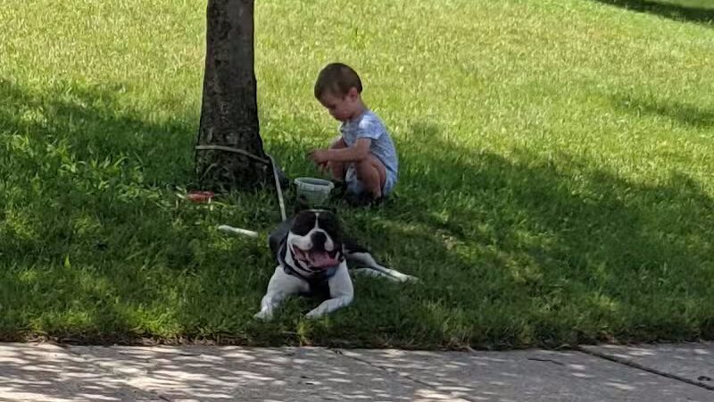 Freeway Park - Southfield,