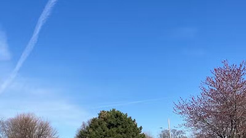 Freeway Park - Southfield,