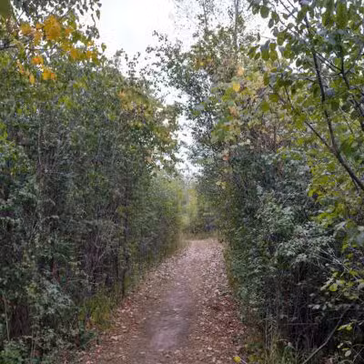 Freeway Park - Southfield,