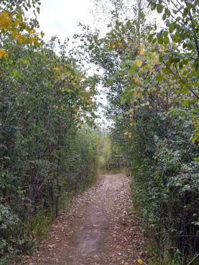 Freeway Park - Southfield,