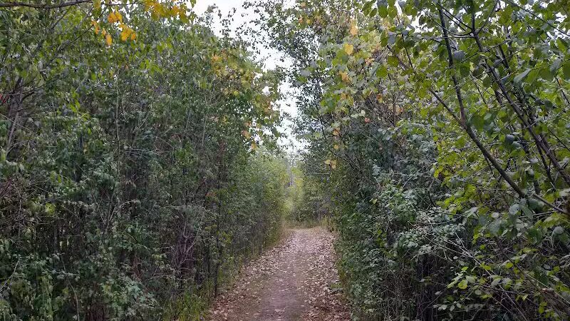 Freeway Park - Southfield,