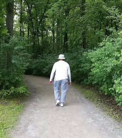 Inglenook Park - Southfield,