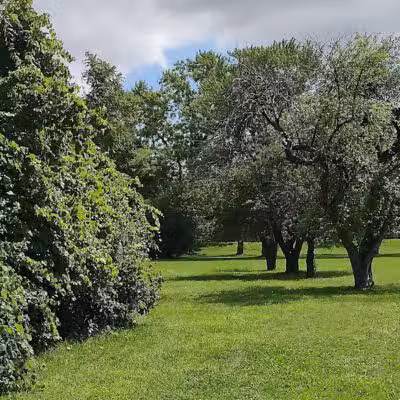 Lahser Woods Park - Southfield,