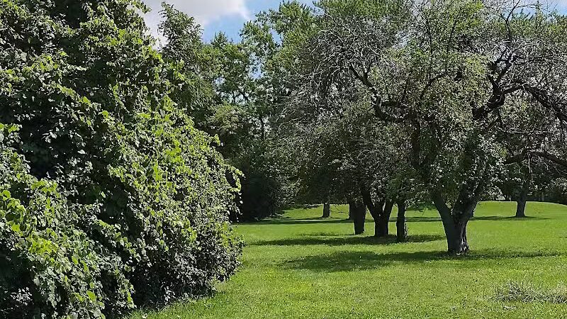 Lahser Woods Park - Southfield,
