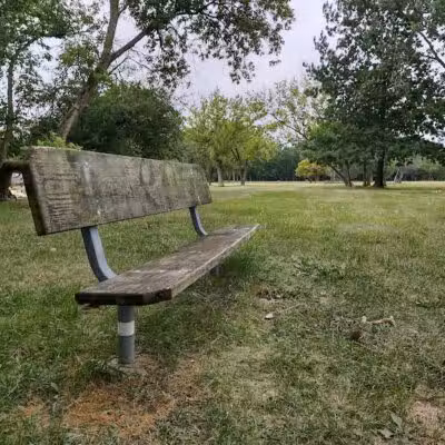 Lahser Woods Park - Southfield,