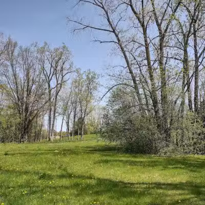 Lahser Woods Park - Southfield,