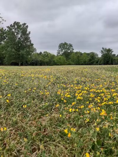Lahser Woods Park - Southfield,