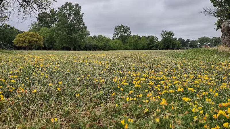 Lahser Woods Park - Southfield,
