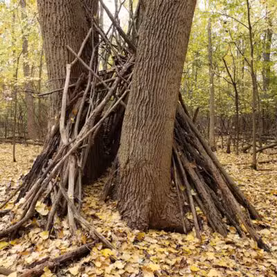 Lincoln Woods Nature Preserve - Southfield,
