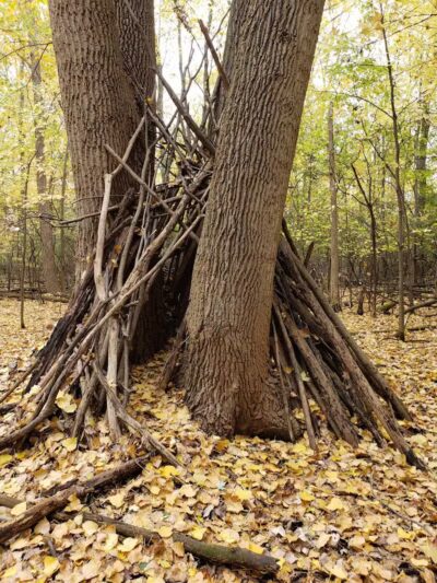 Lincoln Woods Nature Preserve - Southfield,