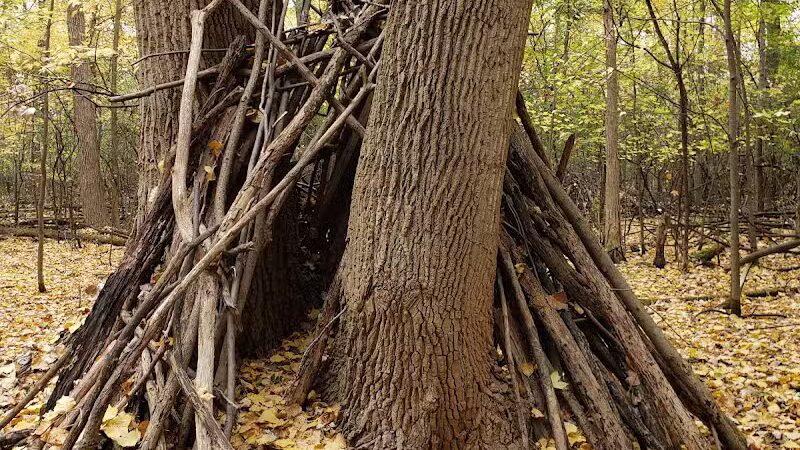 Lincoln Woods Nature Preserve - Southfield,