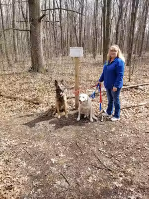 Bauervic Woods Park - Southfield,