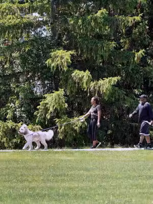 Catalpa Oaks County Park - Southfield,