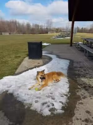 Pebble Creek Park - Southfield,