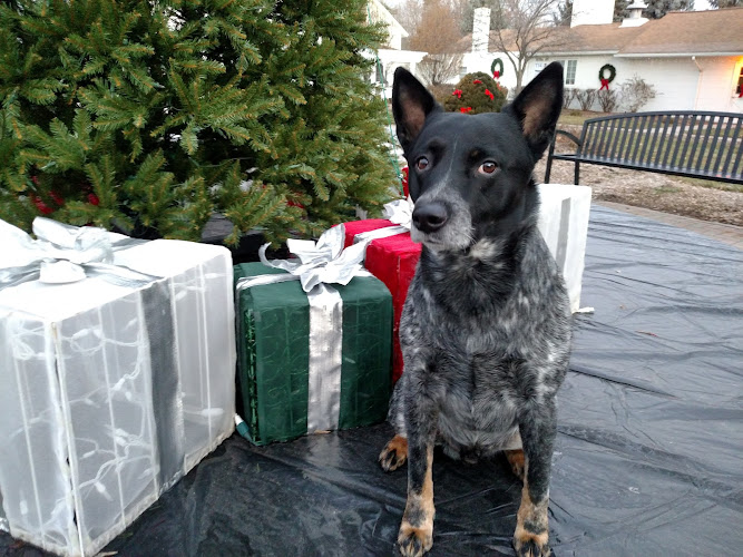 The Burgh Historical Park - Southfield,