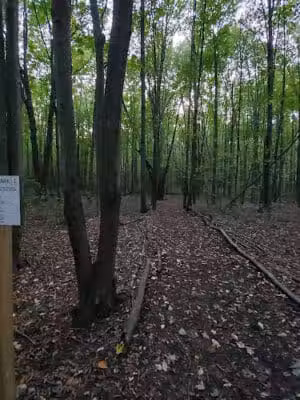 Trailhead #1 - Southfield,