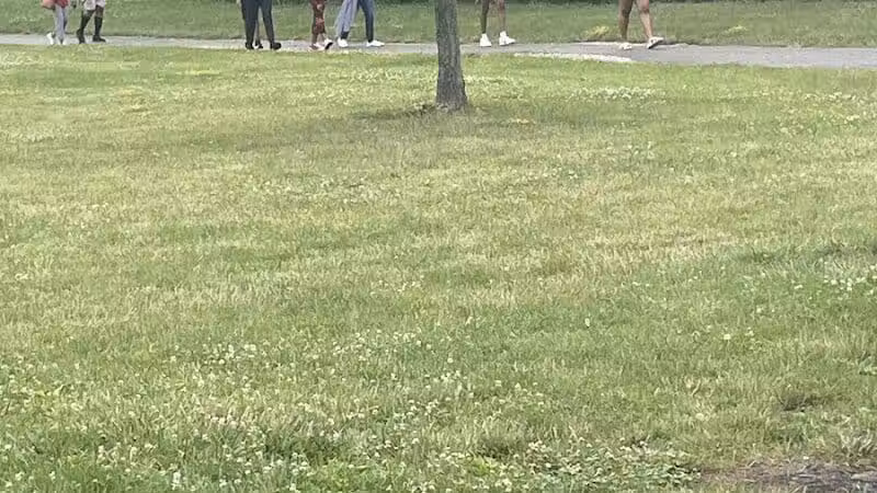 Pebble Creek Park - Southfield,