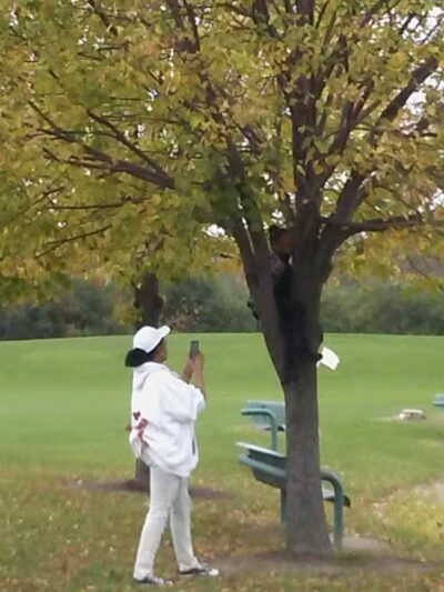 Pebble Creek Park - Southfield,