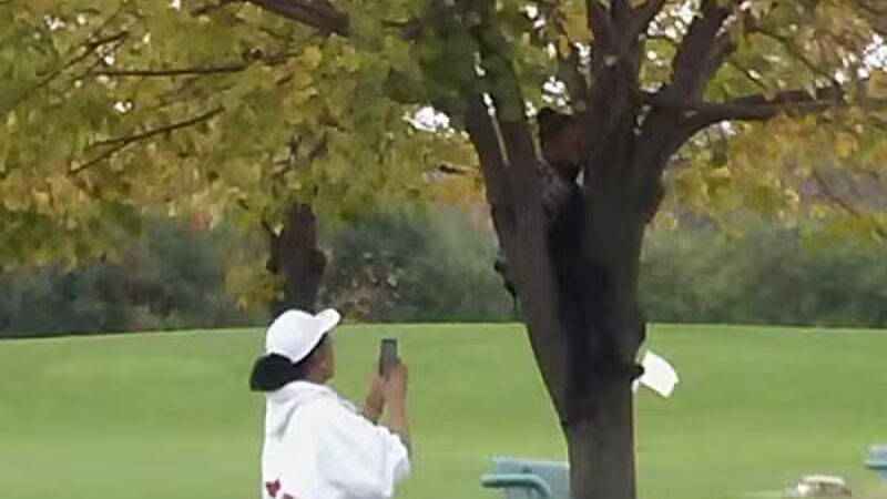 Pebble Creek Park - Southfield,